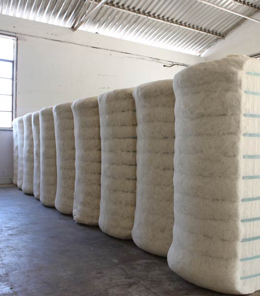 Ginning Factory Cotton Gin Manufacturers Loyal Textiles