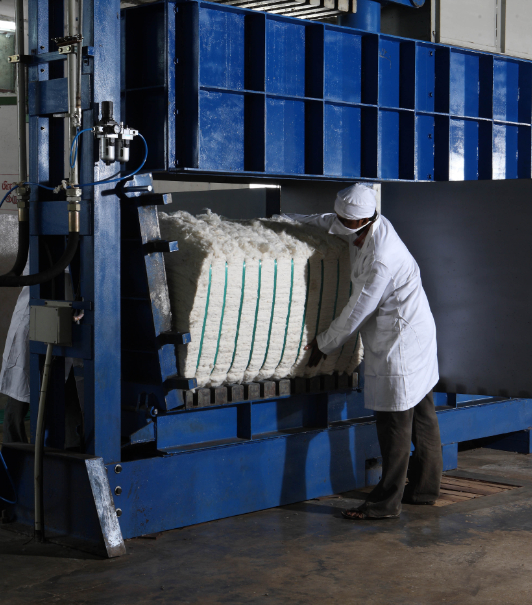 Ginning Factory Cotton Gin Manufacturers Loyal Textiles